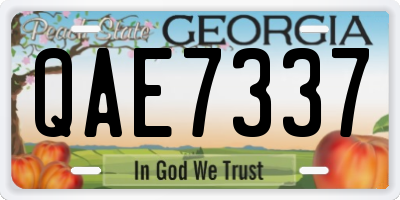 GA license plate QAE7337