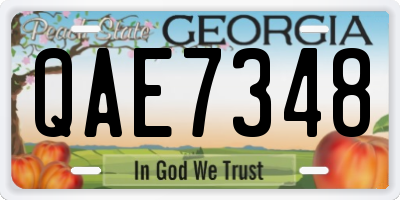GA license plate QAE7348