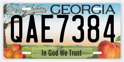 GA license plate QAE7384