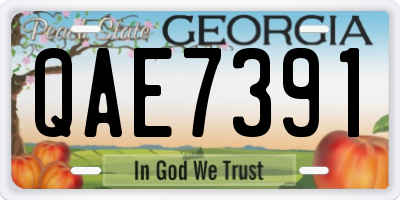 GA license plate QAE7391