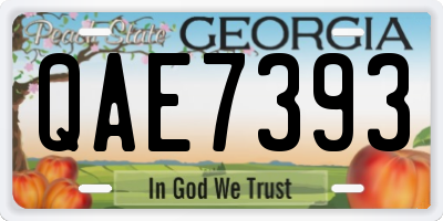 GA license plate QAE7393