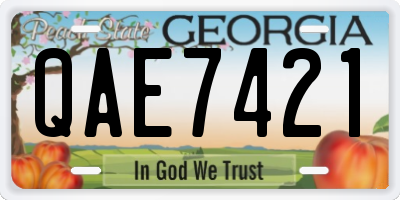 GA license plate QAE7421