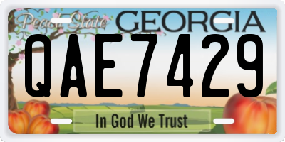 GA license plate QAE7429