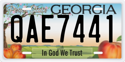 GA license plate QAE7441