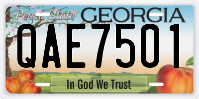 GA license plate QAE7501