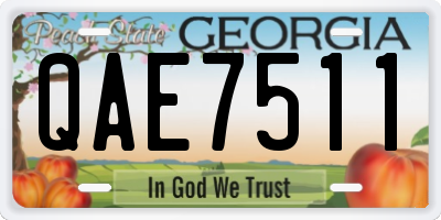 GA license plate QAE7511