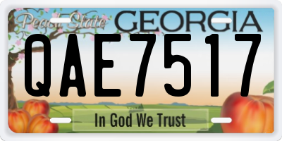 GA license plate QAE7517
