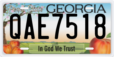 GA license plate QAE7518