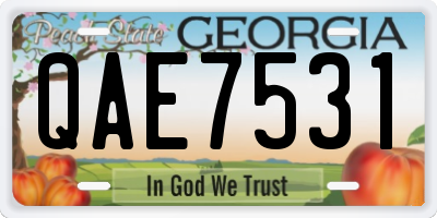 GA license plate QAE7531