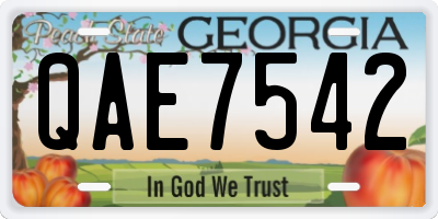 GA license plate QAE7542
