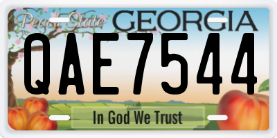 GA license plate QAE7544