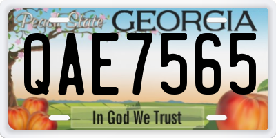 GA license plate QAE7565