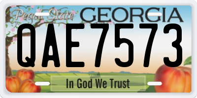 GA license plate QAE7573