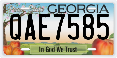 GA license plate QAE7585
