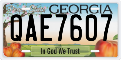 GA license plate QAE7607