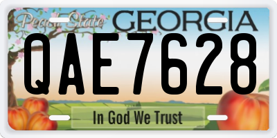 GA license plate QAE7628