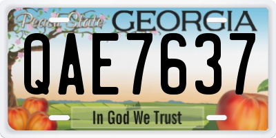 GA license plate QAE7637