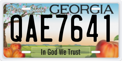 GA license plate QAE7641