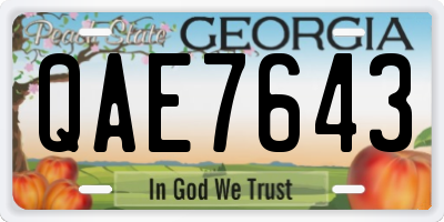 GA license plate QAE7643