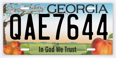 GA license plate QAE7644