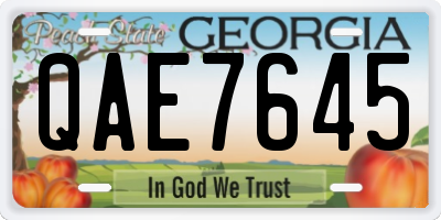 GA license plate QAE7645