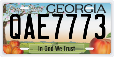 GA license plate QAE7773