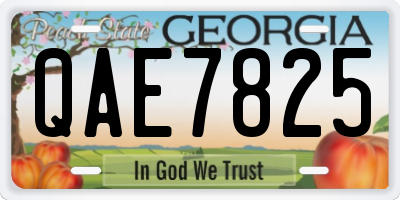 GA license plate QAE7825