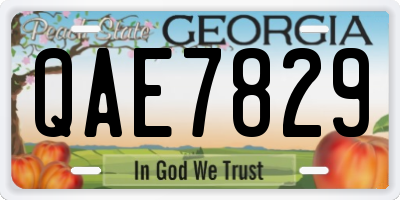 GA license plate QAE7829