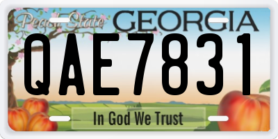 GA license plate QAE7831