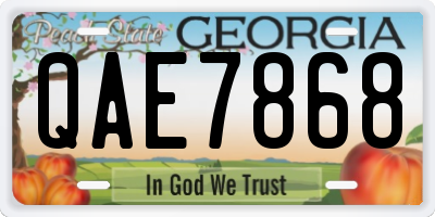 GA license plate QAE7868