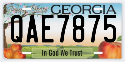 GA license plate QAE7875