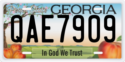 GA license plate QAE7909