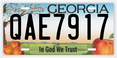 GA license plate QAE7917