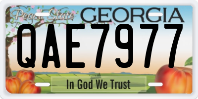 GA license plate QAE7977