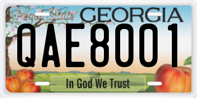 GA license plate QAE8001