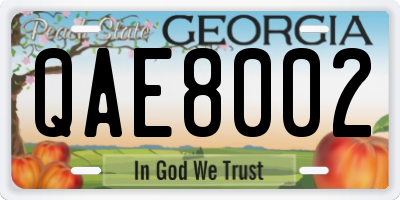 GA license plate QAE8002