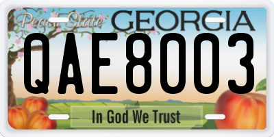 GA license plate QAE8003