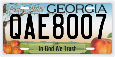 GA license plate QAE8007
