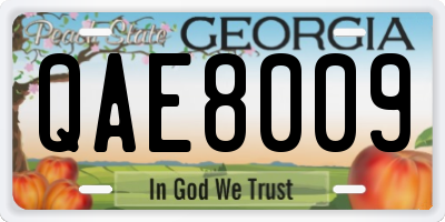 GA license plate QAE8009