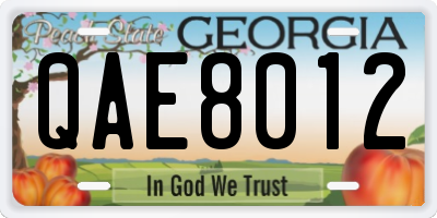 GA license plate QAE8012