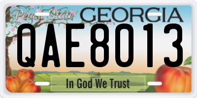 GA license plate QAE8013