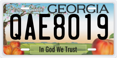 GA license plate QAE8019
