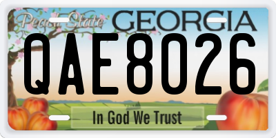 GA license plate QAE8026