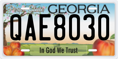 GA license plate QAE8030
