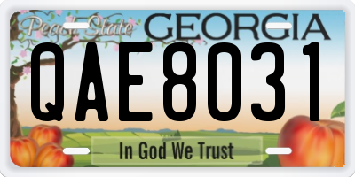 GA license plate QAE8031