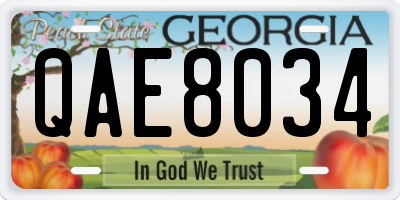 GA license plate QAE8034