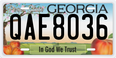 GA license plate QAE8036
