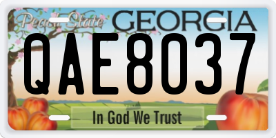 GA license plate QAE8037