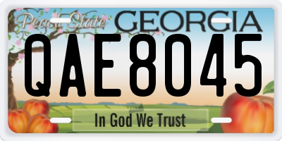 GA license plate QAE8045