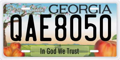 GA license plate QAE8050